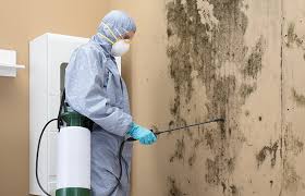 Best Asbestos and Lead Testing During Mold Inspection  in Blue Rapids, KS